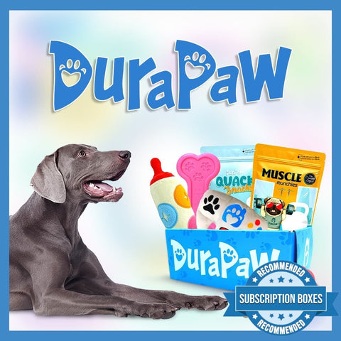 DuraPaw Dog Subscription Box Canada