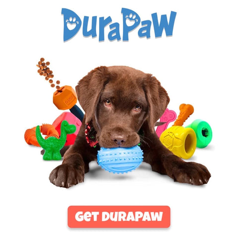 DuraPaw Dog Subscription Box Enrichment Toys Canada