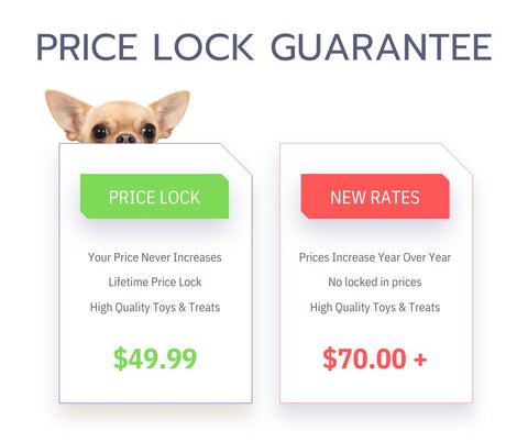 DuraPaw Dog Subscription Box Price Lock Guarantee for Active Subscribers