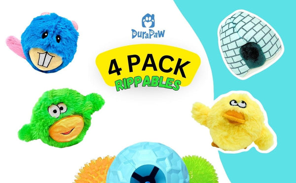 DuraPaw Reveal 2 in 1 Dog Toy Within Toy Rippables Bundle Sale