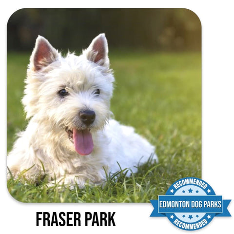 Fraser Edmonton Off Leash Dog Park