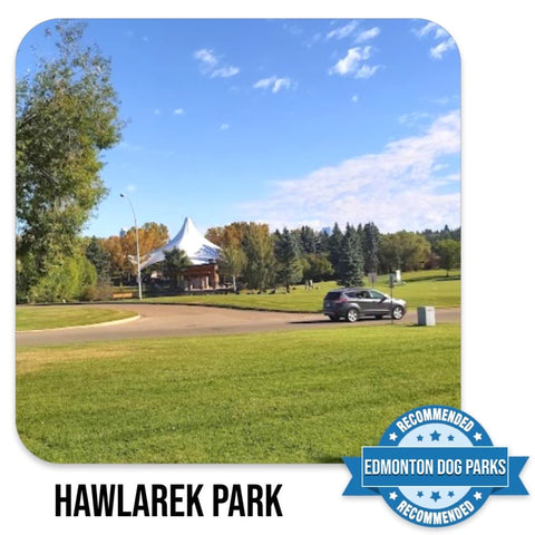 Hawlarek Edmonton Off Leash Dog Park