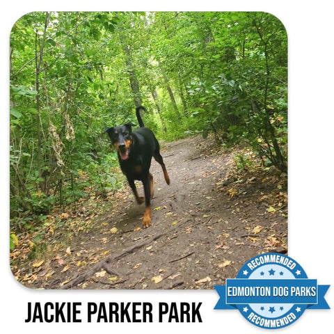 Jackie Parker Edmonton Off Leash Dog Park