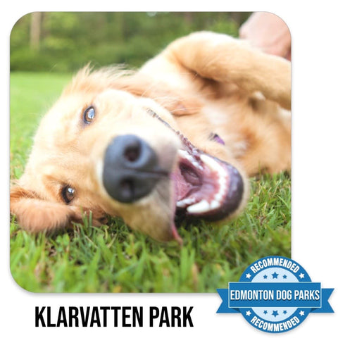 Klarvatten Edmonton Off Leash Dog Park