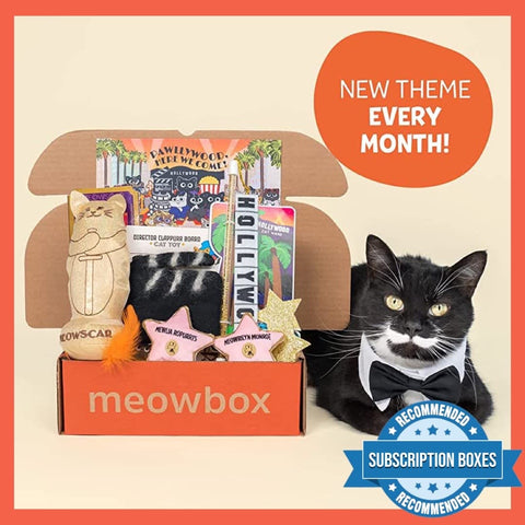 Meowbox Cat Kitty Subscription Box Canada