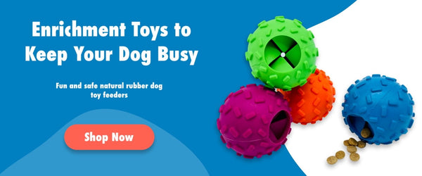 Rubber dog toy enrichment feeders