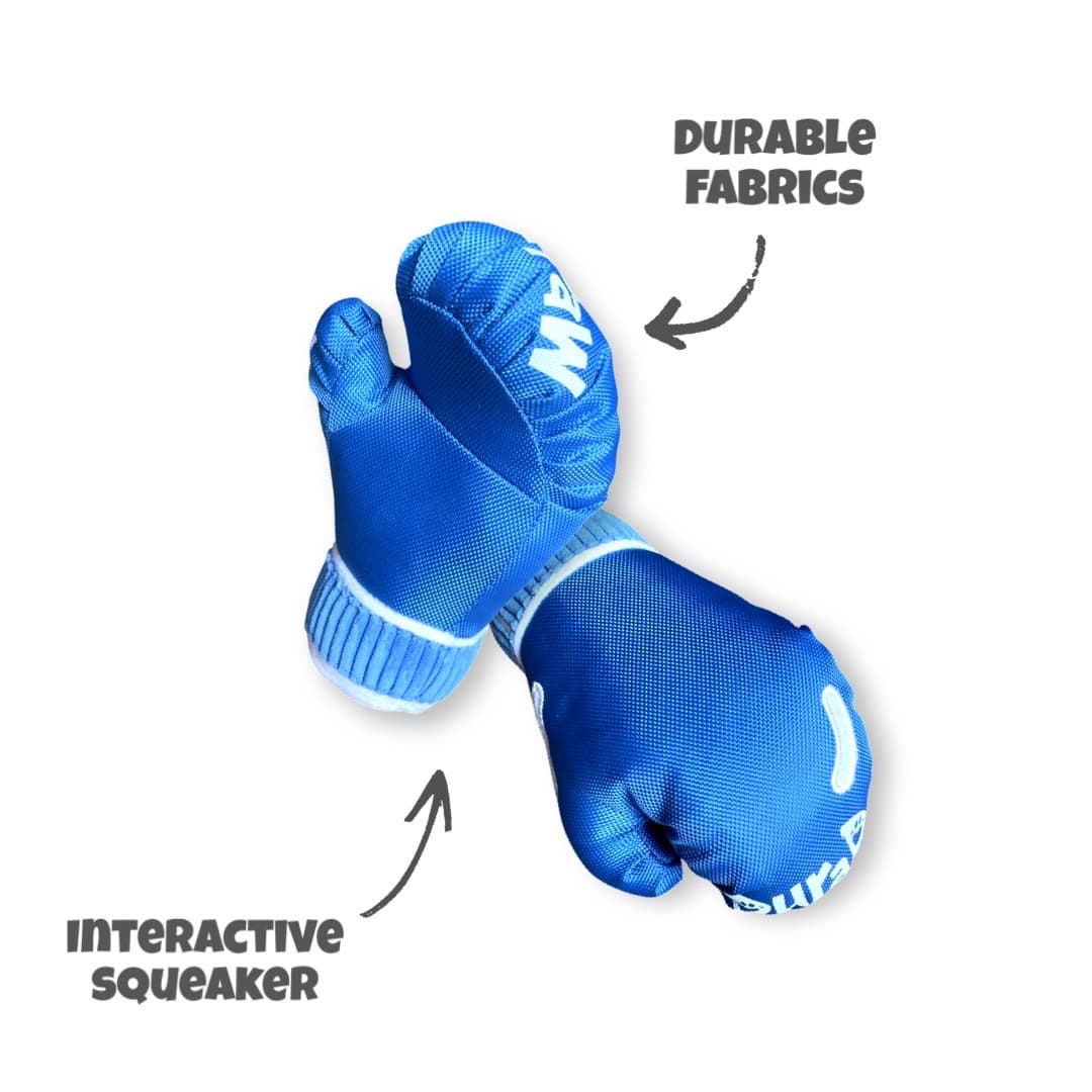 https://cdn.shopify.com/s/files/1/0634/7938/2229/products/DuraPawExclusiveDurableBoxingGloveDogToy_1080x.jpg?v=1670981095