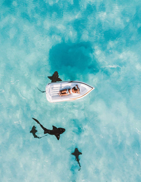 Free stock photo of a woman floating on the ocean surrounded by sharks