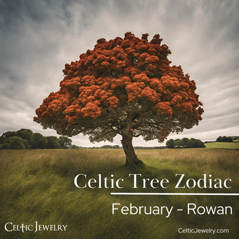 February celtic tree is Rowan