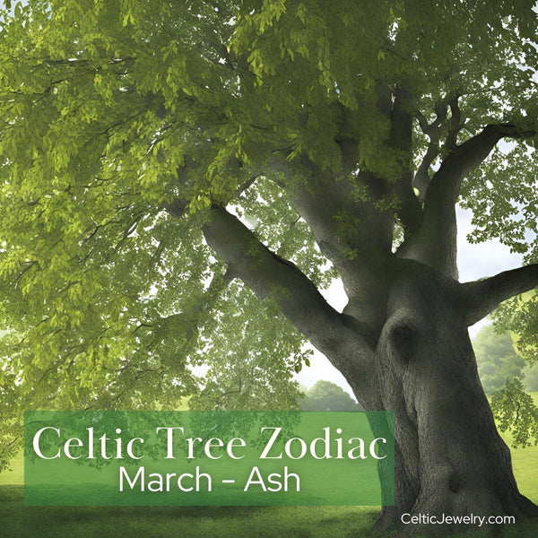 Ash tree, March celtic zodiac tree