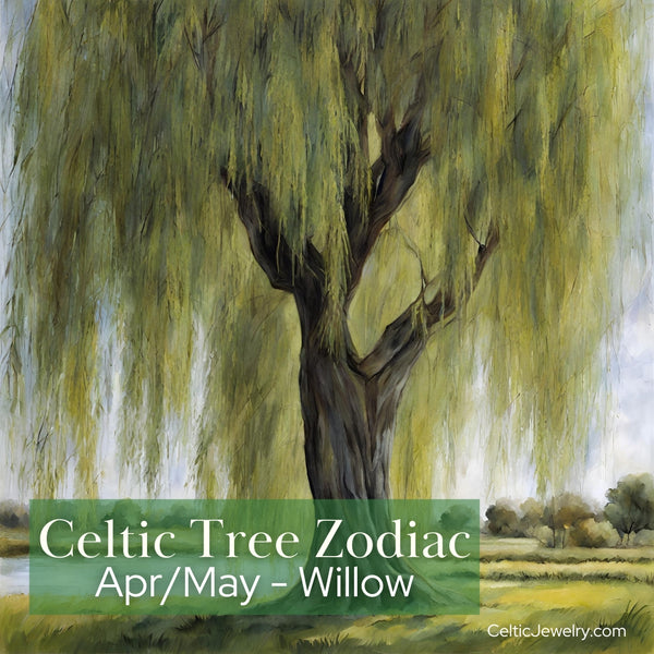 Willow tree