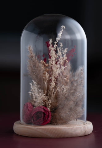 dried flowers and pampas grass
