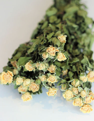 dried spray roses bunch