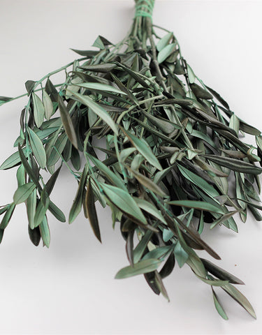 dried eucalyptus 