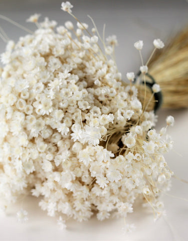 dried flowers UK