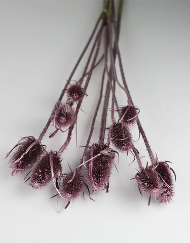 Dried Cardistella - Metallic Pink Bunch