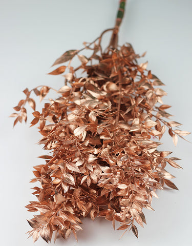 dried flowers for christmas