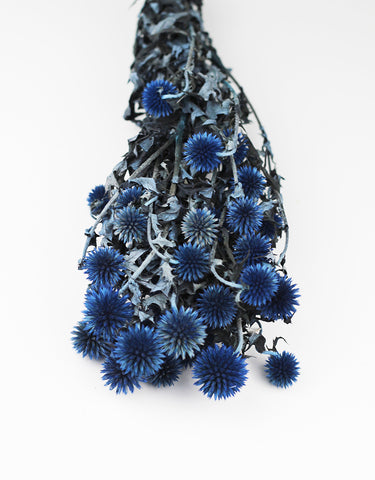 blue dried flowers