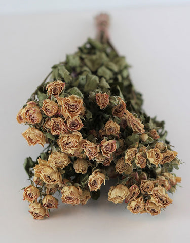 dried roses