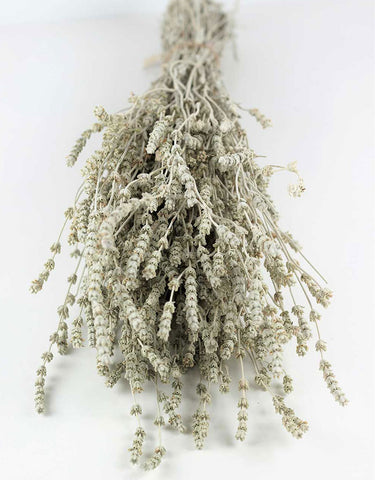 dried lavender 