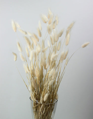 Wholesale Dried Bunny Tails