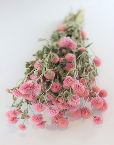 dried flowers in UK