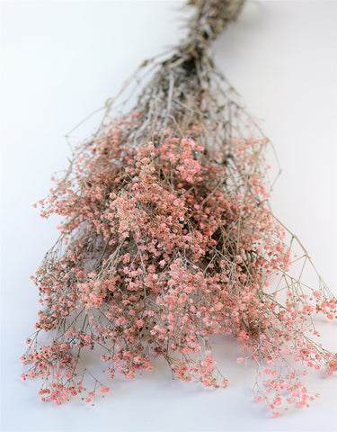 preserved flower arrangements
