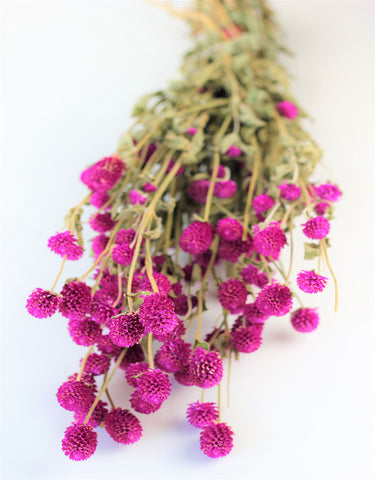 dried flower decor UK