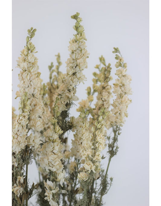 dried flowers wholesale uk