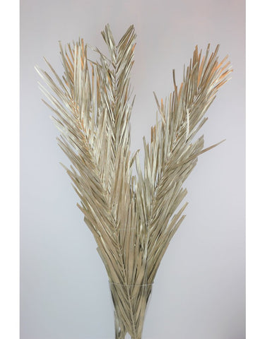 Dried Palm Leaf - Platinum Edition