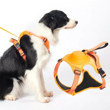 Wilex no pull dog harness 2025