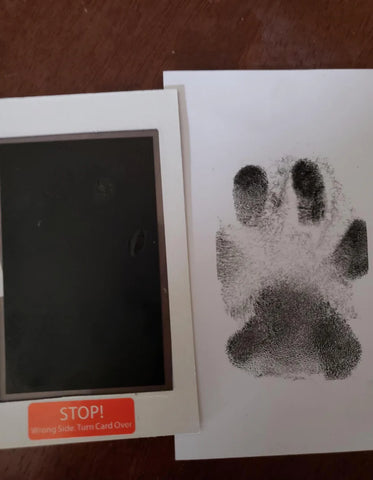 Paw Print Stamp Pad – Loyal Dogs