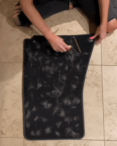 Een bewegende afbeelding van het gebruik van de Huisdier Haar Verwijderaar om haren moeiteloos van een tapijt te verwijderen.