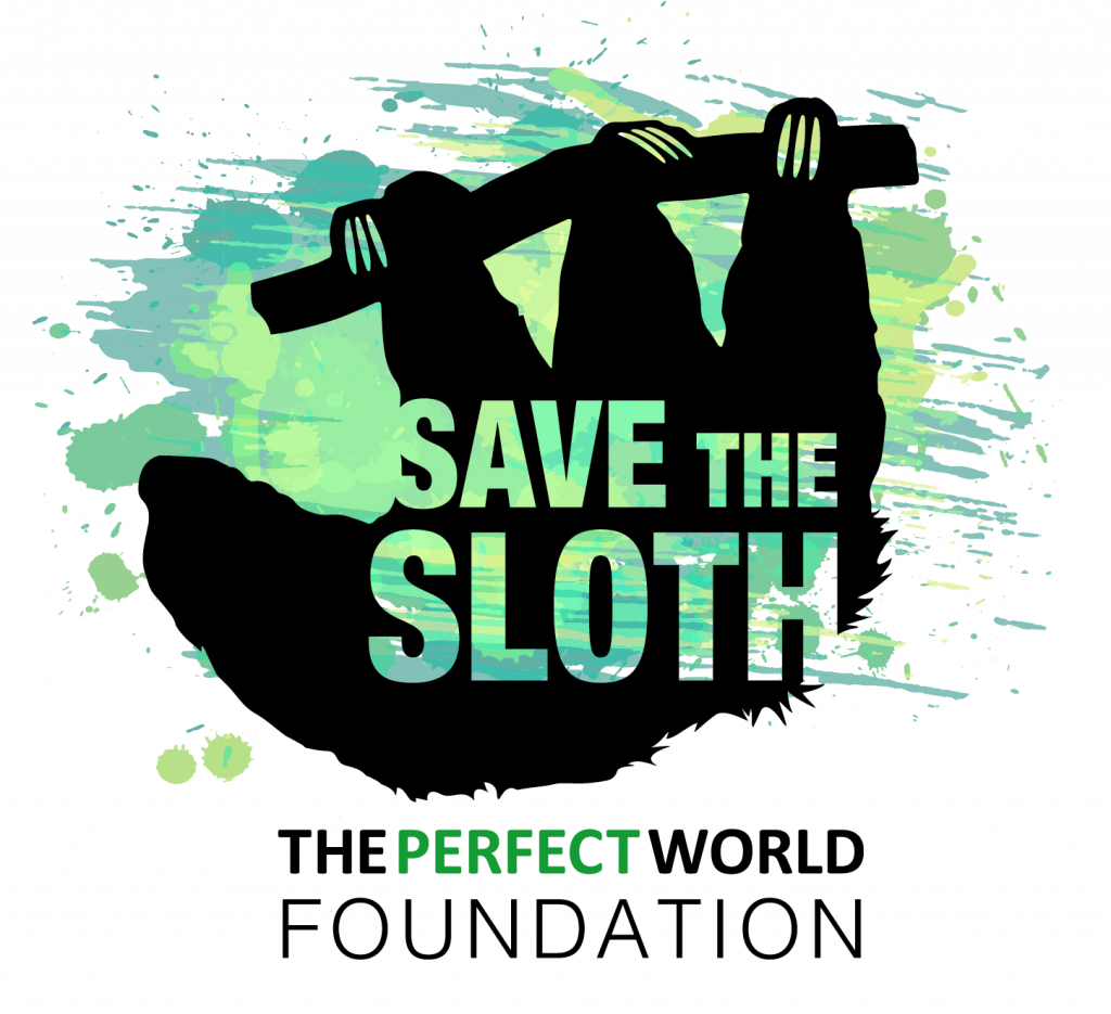 Save the Sloths with The Perfect World Foundation