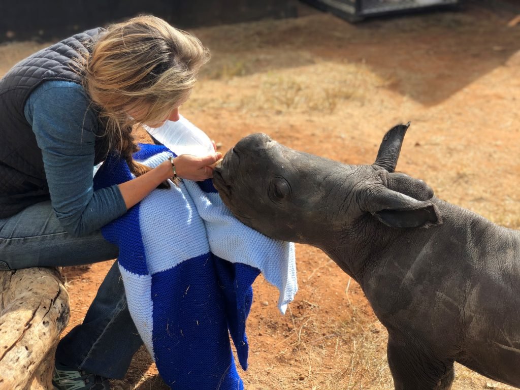 Care for Wild Rhino Sanctuary