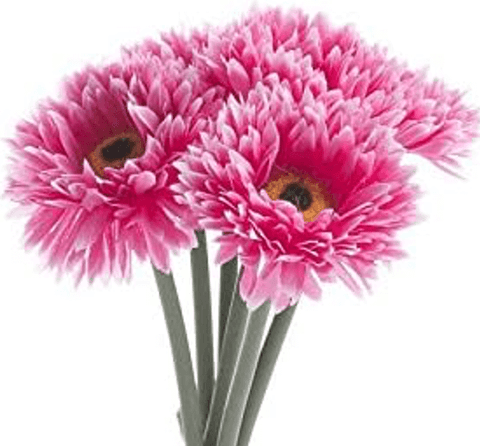 20th_Anniversary_-_Aster_artificial-Flower-atelier-blooms-auckland-artificial-flower-arrangement