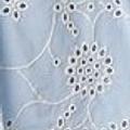 Blue Eyelet