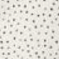 White Speck Print