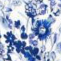 Blue and White Floral