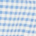 Blue Gingham