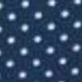 Navy Blue Polka Dot