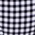 Black Checkered Print