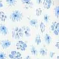 White and Blue Floral