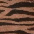 Brown Zebra