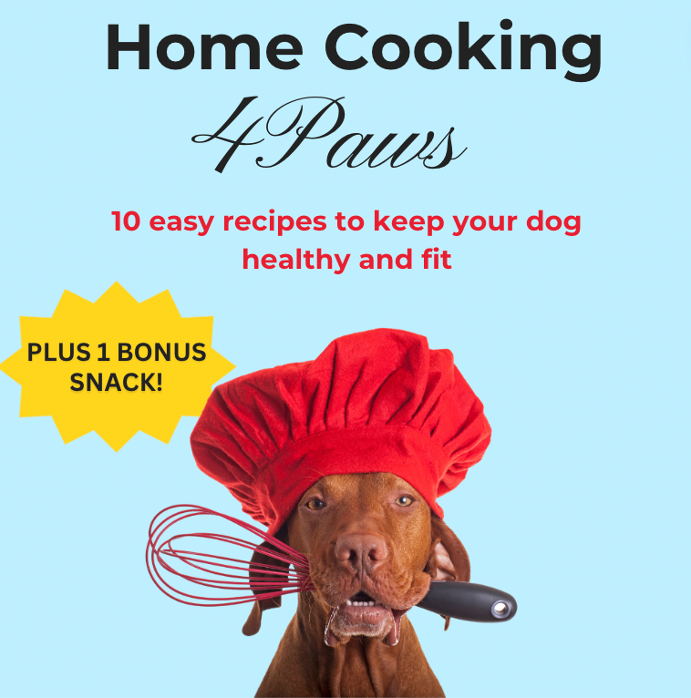 The Cookbook 4 Paws eBook - 4PawsBracelets product image