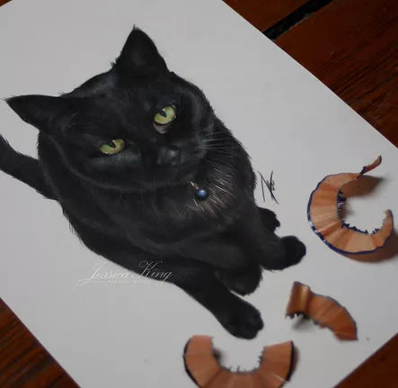 Jess King Illustration - Cat Gifts