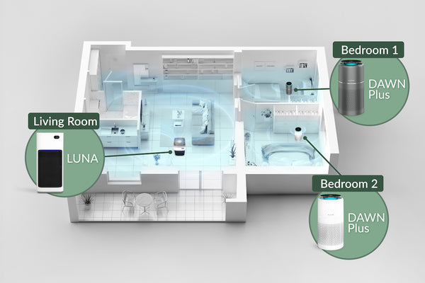 Air Purifiers Room Size and Placements