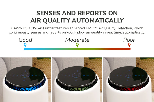 PM 2.5 Air Quality Detection & Indicator