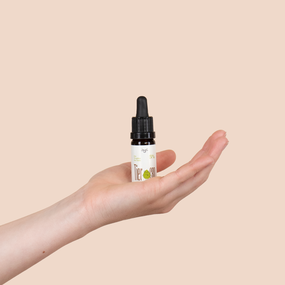 CBD Öl Tiere 5% in einer Hand 