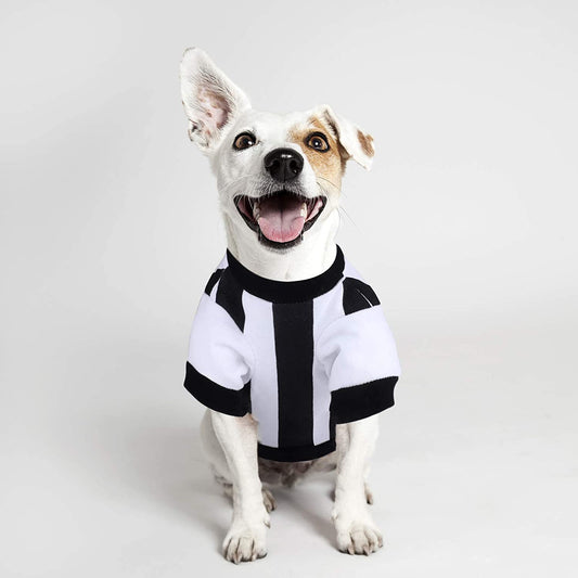 Pet Dog Baseball Jersey (Full Dye Sublimation)